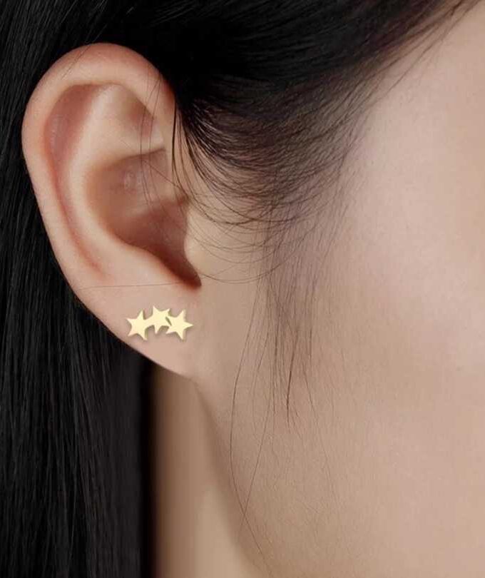 Star Among Stars Earrings