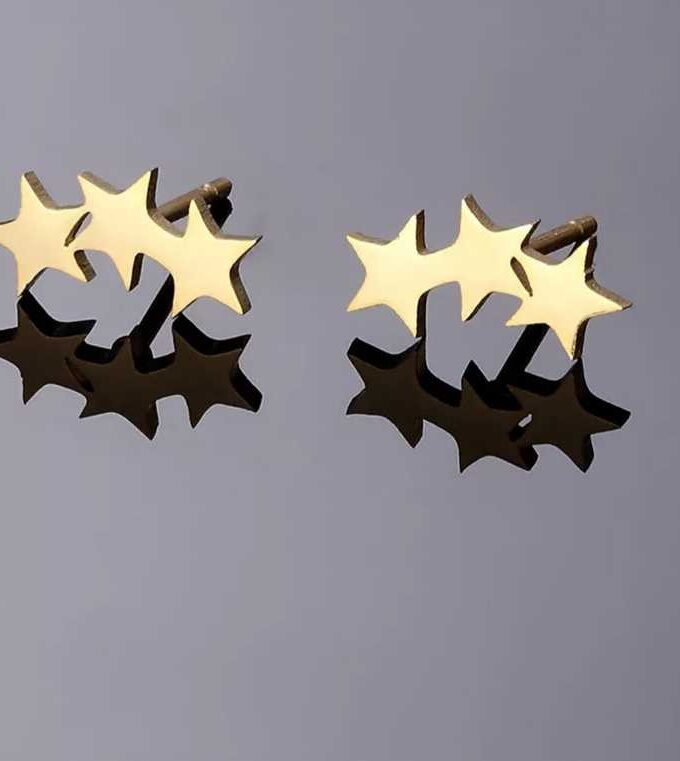 Star Among Stars Earrings